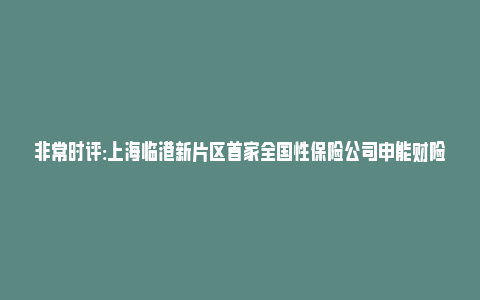非常时评:上海临港新片区首家全国性保险公司申能财险正式开业(上海申能临港燃机发电有限公司)_https://www.npxbk.com_财经_第1张